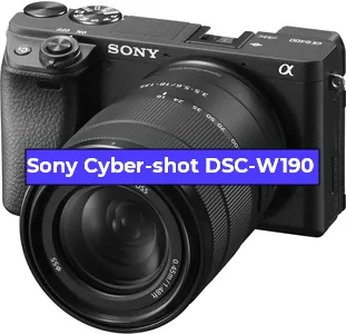 Ремонт фотоаппарата Sony Cyber-shot DSC-W190 в Новосибирске